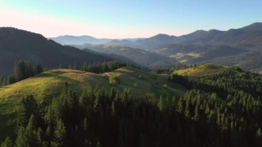 Güneşli bir günde muhteşem dağ vadisi ve dağlık çayırlarda. Karpat Dağları, Ukrayna, Avrupa. Sinematik hava çekimi. Toprağın güzelliğini keşfedin. 4k, İHA videosu ile çekilmiştir..