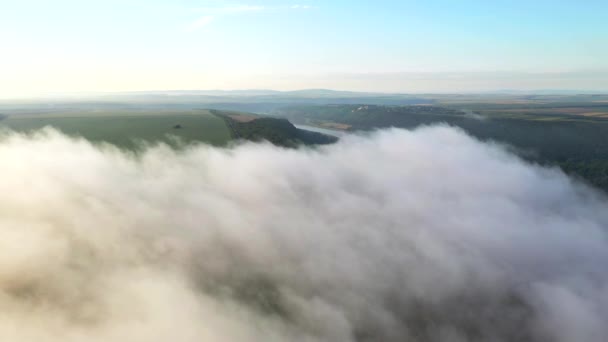 霧の朝の田園風景 農地の素晴らしいトップビュー 空中での撮影 場所ドニエスター川 ウクライナ ヨーロッパ 地球の美しさを発見 ドローンビデオで撮影 — ストック動画