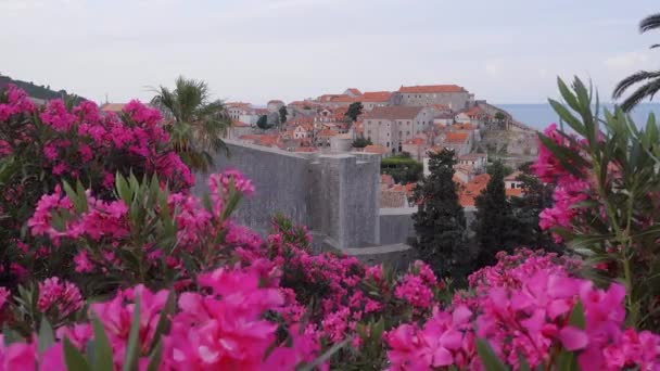 Υπέροχη Θέα Στη Διάσημη Ευρωπαϊκή Πόλη Ντουμπρόβνικ Τοποθεσία Κροατία Νότια — Αρχείο Βίντεο
