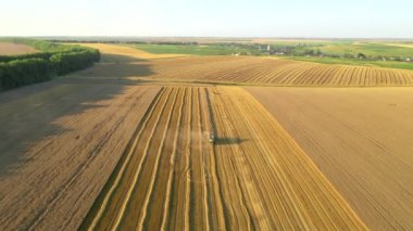 Drone güneşli bir günde buğday tarlasında çalışan hasatçıların üzerinde uçar. Ukrayna tarım bölgesinin yeri, Avrupa. Sinematik hava çekimi. Ekin toplama mevsimi. 4k, İHA videosu ile çekilmiştir..