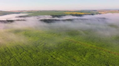 Zirai toprakları kaplayan kalın bir sis üzerinde insansız hava aracının uçuşu. Sinematik hava çekimi. Dinyester Nehri, Ukrayna, Avrupa. Toprağın güzelliğini keşfedin. 4k 'lık İHA videosuyla çekildi..