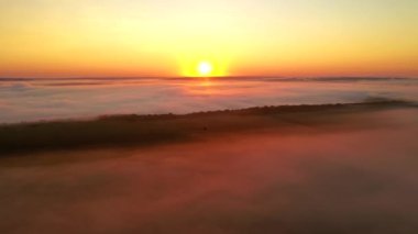 Şafak vakti sisle kaplı tarım arazisinin muhteşem manzarası. Sinematik hava çekimi. Dinyester Nehri 'nin yeri, Ukrayna, Avrupa. Toprağın güzelliğini keşfedin. 4k 'lık İHA videosuyla çekildi..