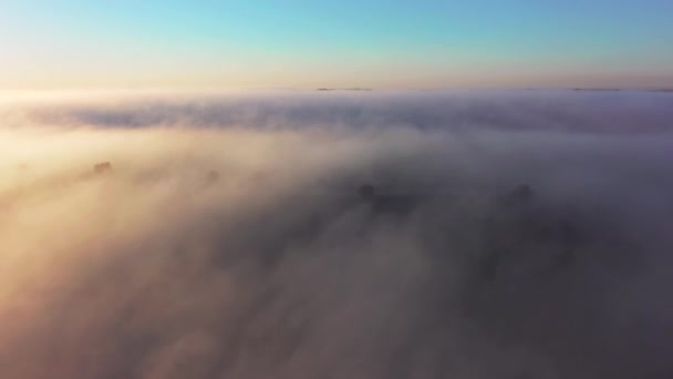 Vol Drone Dessus Épais Brouillard Qui Recouvrait Les Terres Agricoles — Video