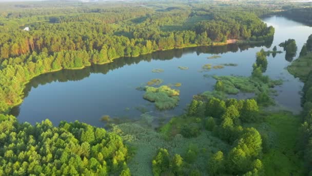 Nádherný Výhled Modrá Jezera Zelené Lesy Slunečného Dne Místo Sídla — Stock video