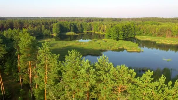 Perfektní Pohled Ptačí Perspektivy Modrá Jezera Zelené Lesy Slunečného Dne — Stock video