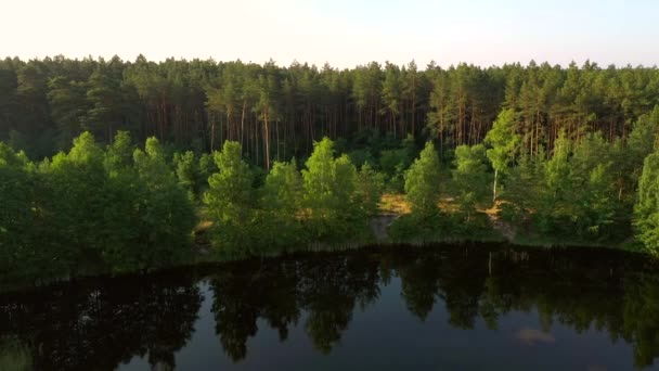 晴れた日には青い湖と緑の森の静かな鳥の目のビュー 場所小さなPolissya ウクライナ ヨーロッパ 空中での撮影 地球の美しさを発見 4Kで撮影されたドローンビデオ — ストック動画