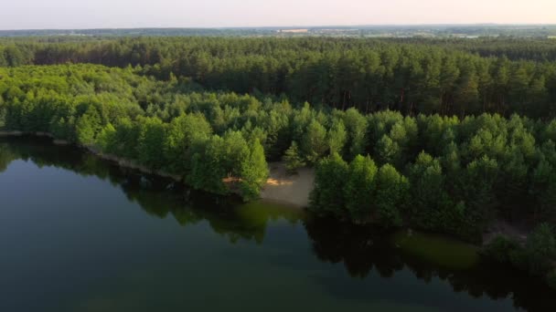 Békés Madártávlat Kék Tavakra Zöld Erdőkre Egy Napsütéses Napon — Stock videók