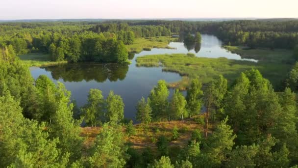 Перфектный Вид Высоты Птичьего Полета Голубые Лаки Зеленые Форсты Солнечный — стоковое видео