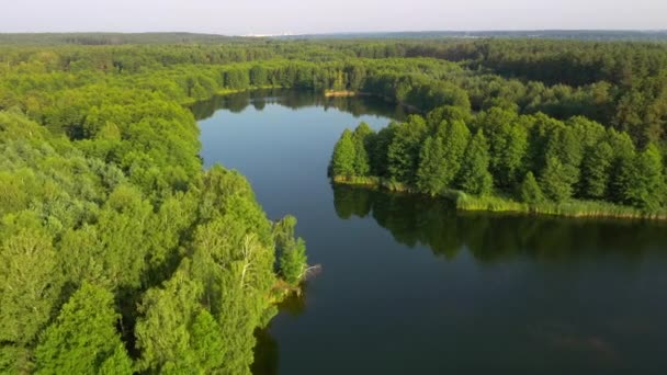 Dech Beroucí Výhled Modrá Jezera Zelené Lesy Slunečného Dne Natočeno — Stock video