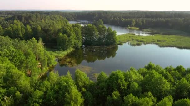 Perfecta Vista Pájaro Lagos Azules Bosques Verdes Día Soleado Ubicación — Vídeos de Stock