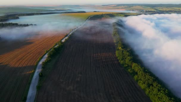農地を覆う濃霧の上の無人機の飛行 空中での撮影 場所ドニエステル川 ウクライナ ヨーロッパ 地球の美しさを発見 ドローンビデオで撮影 — ストック動画