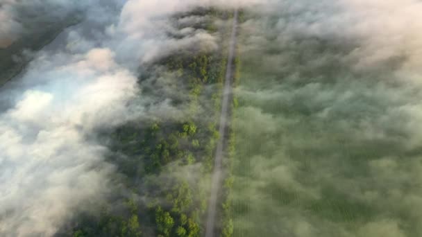 Espesa Niebla Mañana Mueve Sobre Camino Que Pasa Por Los — Vídeos de Stock