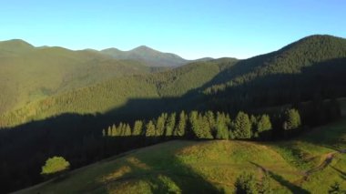 Güneşli bir günde yeşil alp çayırlarıyla görkemli dağ vadisi. Karpat Dağları, Ukrayna, Avrupa. Sinematik hava çekimi. Toprağın güzelliğini keşfedin. 4k, İHA videosu ile çekilmiştir..