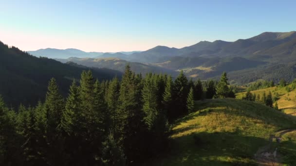 Spectaculaire Vallée Montagne Par Une Journée Ensoleillée Des Prairies Alpines — Video