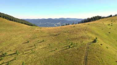 Güneşli bir günde dağların ve yeşil ormanların kuş bakışı manzarası mükemmel. 4k, İHA videosu ile çekilmiştir..