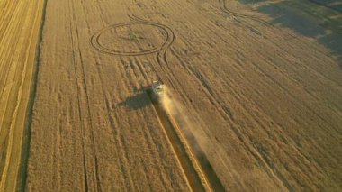 Drone güneşli bir günde buğday tarlasında çalışan hasatçıların üzerinde uçar. Ukrayna tarım bölgesinin yeri, Avrupa. Sinematik hava çekimi. Ekin toplama mevsimi. 4k, İHA videosu ile çekilmiştir..