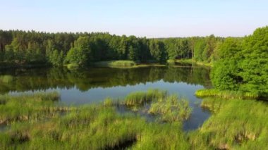 Güneşli bir günde mavi göllerin ve yeşil ormanların nefes kesici manzarası. 4k, İHA videosu ile çekilmiştir..