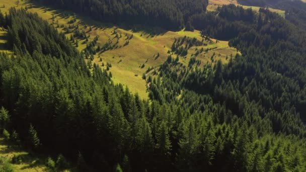 Vista Perfeita Para Montanhas Florestas Verdes Dia Ensolarado Filmado Vídeo — Vídeo de Stock