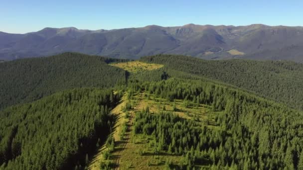 Vista Perfeita Para Montanhas Florestas Verdes Dia Ensolarado Filmado Vídeo — Vídeo de Stock