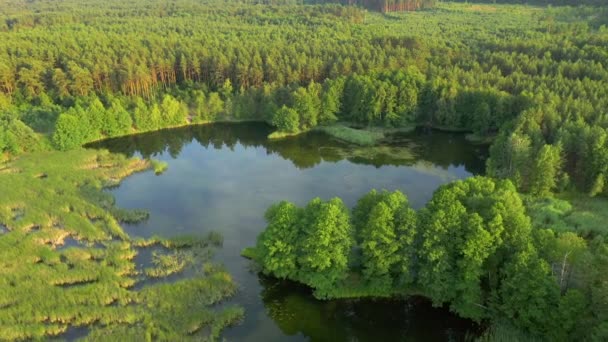 Spektakulär Utsikt Över Blå Sjöar Och Gröna Skogar Solig Dag — Stockvideo