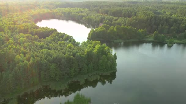 Сонячний День Можна Милуватися Блакитними Озерами Зеленими Лісами Місце Розташування — стокове відео