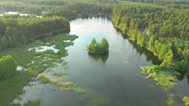 Досконале Пташине Око Дивиться Спокійне Озеро Зелені Ліси Сонячний День — стокове відео