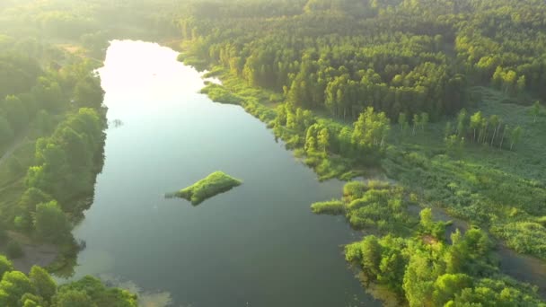 Upeat Näkymät Sinisille Järville Vihreille Metsille Aurinkoisena Päivänä Sijaintipaikka Small — kuvapankkivideo