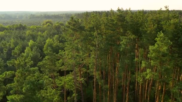 Vue Panoramique Paisible Sur Les Lacs Bleus Les Forêts Vertes — Video