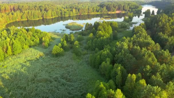Spektakularny Widok Błękitne Jeziora Zielone Lasy Słoneczny Dzień Miejsce Lokalizacji — Wideo stockowe