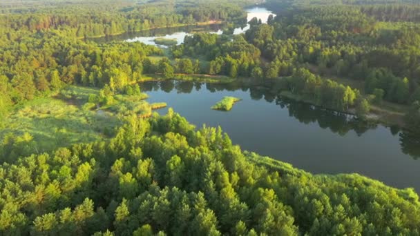 Εντυπωσιακή Θέα Των Γαλάζιων Λιμνών Και Των Πράσινων Δασών Μια — Αρχείο Βίντεο
