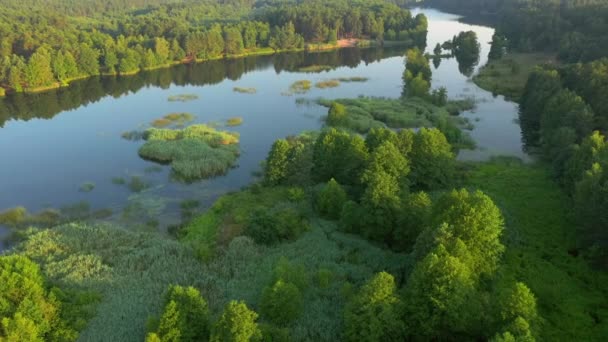 Pandangan Spektakuler Danau Biru Dan Hutan Hijau Pada Hari Yang — Stok Video