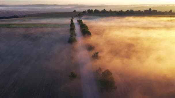 Vista Dall Alto Mozzafiato Della Strada Che Attraversa Terreni Agricoli — Video Stock