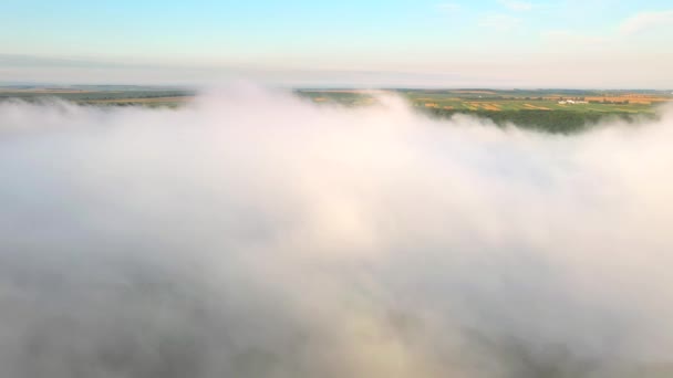 霧の朝の田園風景 農地の素晴らしいトップビュー 空中での撮影 場所ドニエスター川 ウクライナ ヨーロッパ 地球の美しさを発見 ドローンビデオで撮影 — ストック動画