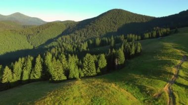 Güneşli bir günde ve alp çayırlarında muhteşem bir dağ manzarası. Karpat Dağları, Ukrayna, Avrupa. Sinematik hava çekimi. Toprağın güzelliğini keşfedin. 4k, İHA videosu ile çekilmiştir..