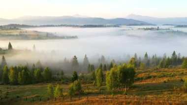İnsansız hava aracı güneş doğarken muhteşem bir dağ vadisinde uçuyor. Karpat Dağları, Ukrayna, Avrupa. Sinematik hava çekimi. Toprağın güzelliğini keşfedin. 4k, İHA videosu ile çekilmiştir..