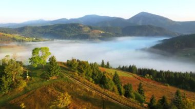 İnsansız hava aracı güneş doğarken muhteşem bir dağ vadisinde uçuyor. Karpat Dağları, Ukrayna, Avrupa. Sinematik hava çekimi. Toprağın güzelliğini keşfedin. 4k, İHA videosu ile çekilmiştir..