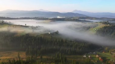 İnsansız hava aracı sabah sisiyle kaplı bir dağ köyünün üzerinden uçuyor. Karpat Dağları, Ukrayna, Avrupa. Sinematik hava çekimi. Toprağın güzelliğini keşfedin. 4k, İHA videosu ile çekilmiştir..