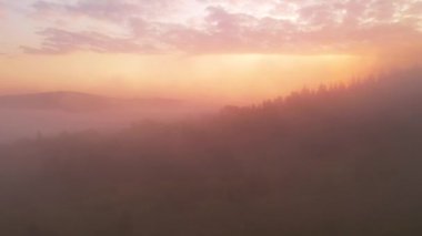 Yoğun sis dağları ve ormanları sabah ışıklarıyla kaplar. Karpat Dağları, Ukrayna, Avrupa. Sinematik hava çekimi. Toprağın güzelliğini keşfedin. 4k, İHA videosu ile çekilmiştir..