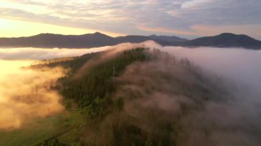 Dağları kaplayan kalın sisin kuş bakışı manzarası muhteşem. Karpat Dağları, Ukrayna, Avrupa. Sinematik hava çekimi. Toprağın güzelliği. 4k, İHA videosu ile çekilmiştir..