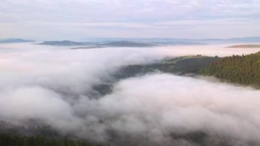 İnsansız hava aracı dağ vadisini kaplayan yoğun sisin üzerinde uçuyor. Karpat Dağları, Ukrayna, Avrupa. Sinematik hava çekimi. Dünyanın güzelliğini keşfet. 4k, İHA videosu ile çekilmiştir..
