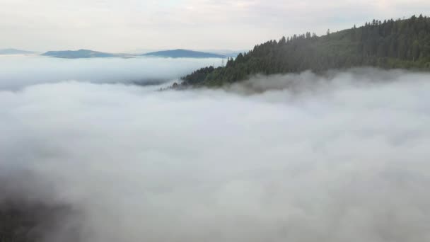 Una Vista Espléndida Desde Vista Pájaro Las Montañas Brumosas Ubicación — Vídeo de stock