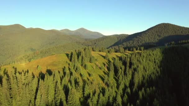 Majestueuse Vallée Montagne Par Une Journée Ensoleillée Avec Vertes Prairies — Video