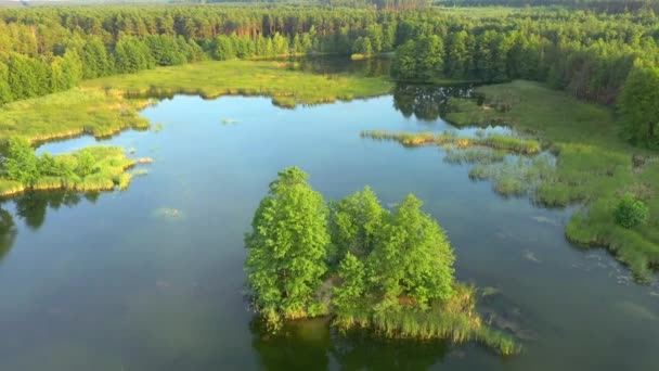 Nádherný Pohled Ptačí Perspektivy Klidné Jezero Zelené Lesy Slunečného Dne — Stock video