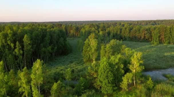 Lugn Fågelperspektiv Blå Sjöar Och Gröna Skogar Solig Dag Plats — Stockvideo