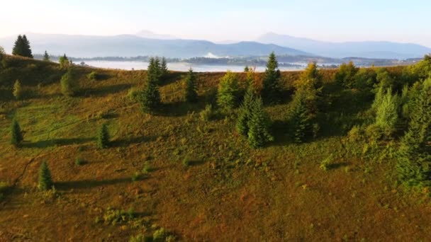 Dronen Flyr Spektakulær Fjelldal Ved Soloppgang Stedet Karpatene Ukraina Europa – stockvideo