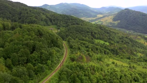 สะพานรถไฟท ยอดเย ยมจากม มมองของนกในป าหนาแน สถานท เขา Carpathian เครน โรป — วีดีโอสต็อก