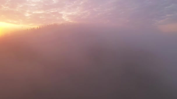Głęboka Mgła Pokrywa Góry Promieniami Porannego Światła Miejsce Pobytu Karpaty — Wideo stockowe