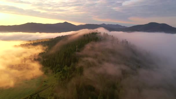 鸟瞰着覆盖着高山的浓雾 鸟瞰着壮丽的景色 乌克兰喀尔巴阡山脉 电影空中拍摄 地球的美丽 以4K 无人驾驶视频拍摄 — 图库视频影像