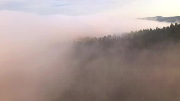 Drone Vola Attraverso Fitta Nebbia Sulle Montagne Una Giornata Sole — Video Stock