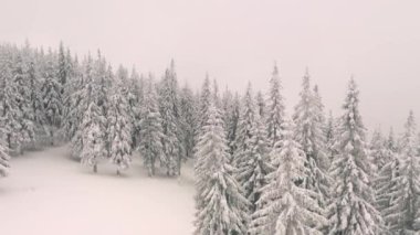 Kuş bakışı manzaralı muhteşem bir kış sahnesi. 4k, İHA videosu ile çekilmiştir..